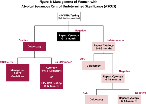 a-overview-of-a-pap-smear-with-minimal-cytological-abnormalities-and