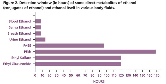 Figure 2. Detection window (in hours) of some direct metabolites of ethanol (conjugates of ethanol) and ethanol itself in various body fluids.