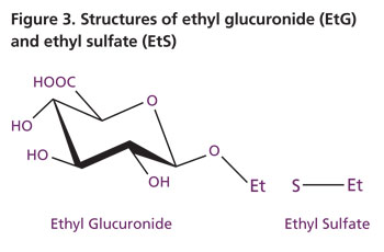 Figure 3. Structures of ethyl glucuronide (EtG) and ethyl sulfate (EtS)