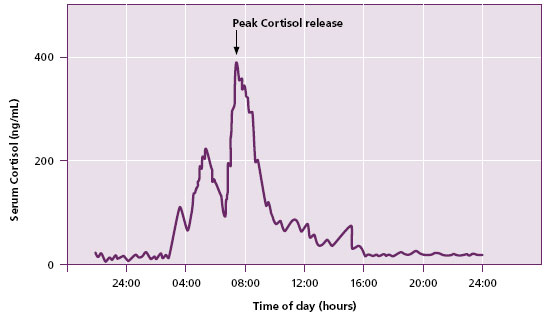 Warde Medical Laboratory | Figure 2. Diurnal cortisol concentration profile of a normal person.