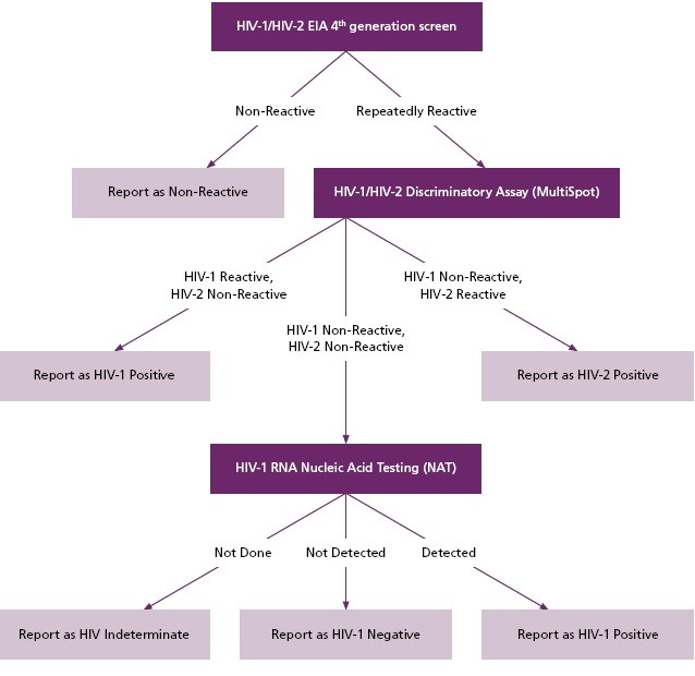 Cdc Hiv Screening Algorithm Laboratory Testing For The Diagnosis Of 
