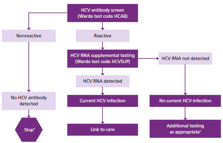 hbsag-test-introduction-principle-procedure-and-result-interpretation