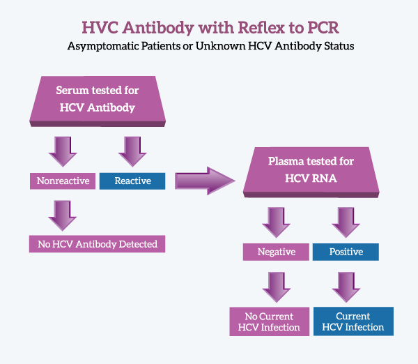 Testing Protocol: HCV Antibody with Reflex to PCR