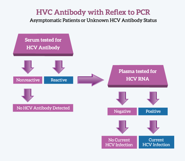 What Is Hcv Genotype Test