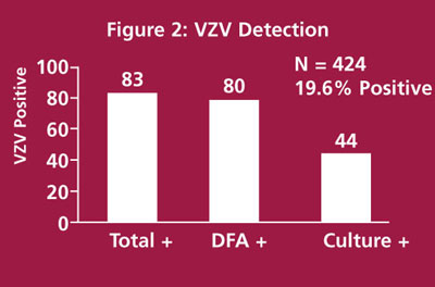 Figure 2: VZV Detection